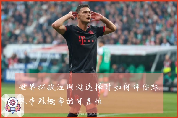 世界杯投注网站选择时如何评估球队夺冠概率的可靠性