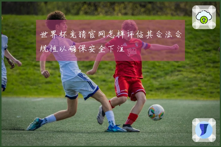 世界杯竞猜官网怎样评估其合法合规性以确保安全下注